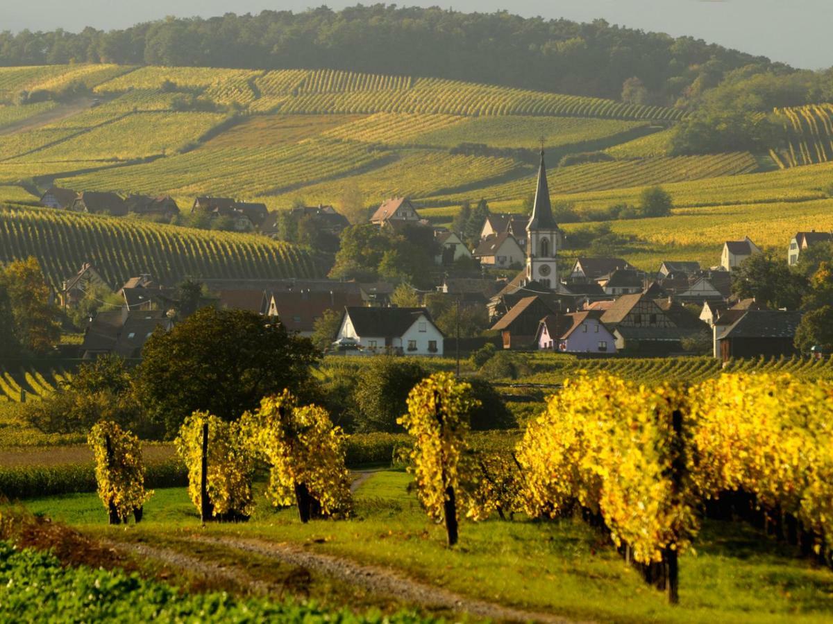 Le Cigogneau-Studio Alcove Au Calme Sainte-Croix-en-Plaine Экстерьер фото